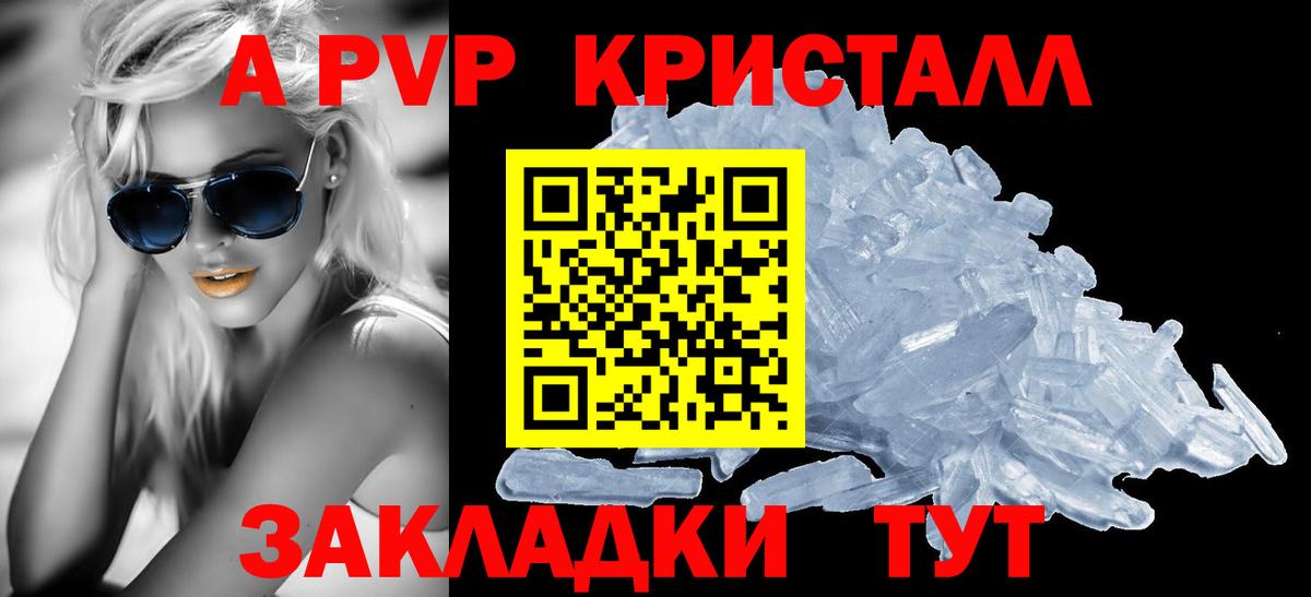 Alfa_PVP СК Нальчик