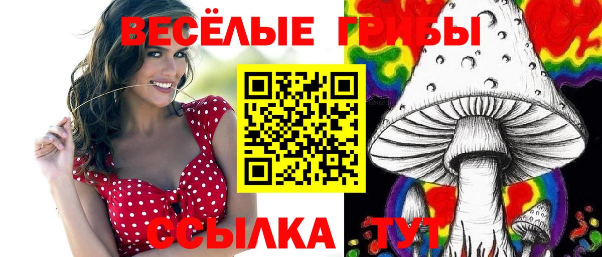 Псилоцибиновые грибы Magic Shrooms  Вход с VPN  Нальчик 